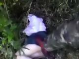 Teen Japanese Lost In Some Bushes And Abused By Stranger